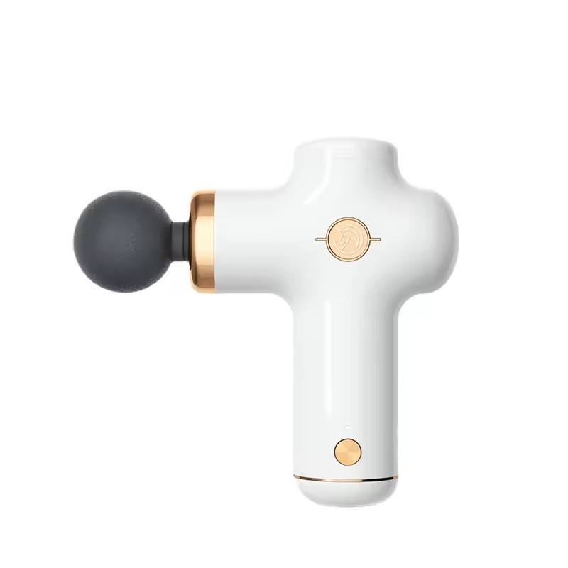 Handheld Mini Massage Gun With - đánh giá và giá Massage Gun