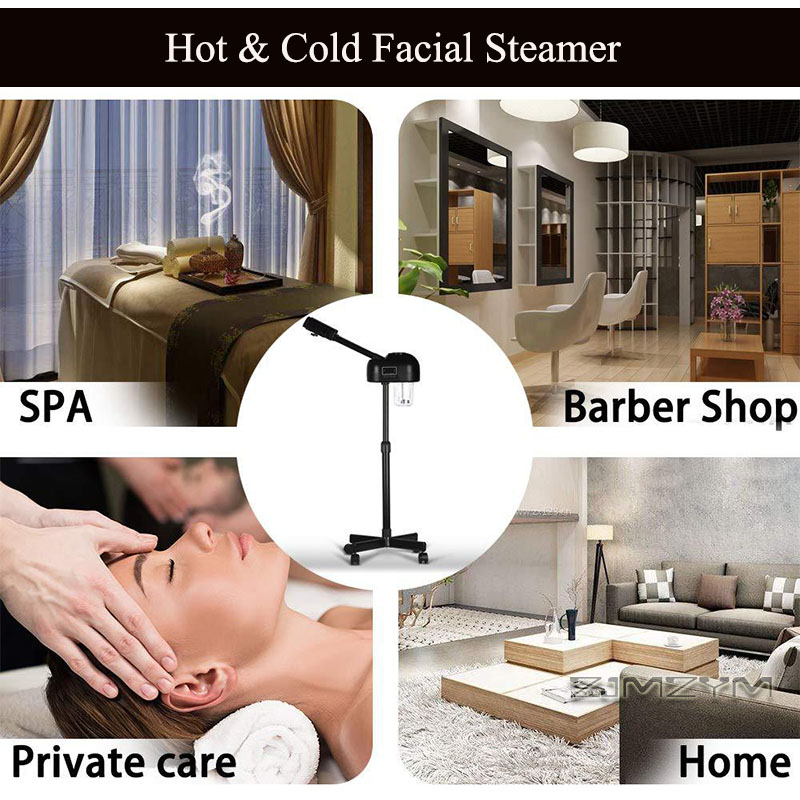 Professional Hot Cold Facial S - đánh giá và giá Face Steamer