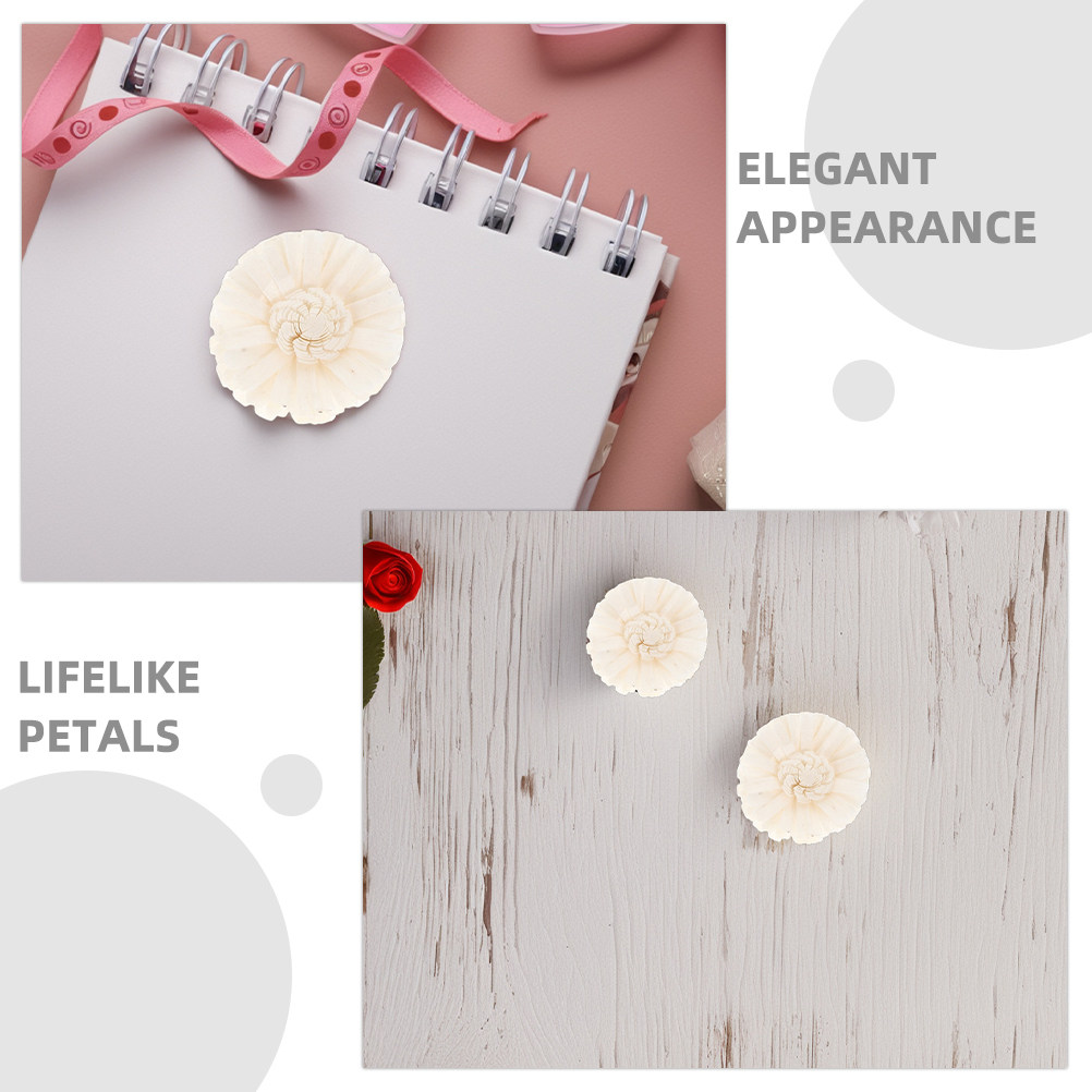 8Pcs Floral Diffuser Sola Chry - đánh giá và giá Aromatherapy Diffuser