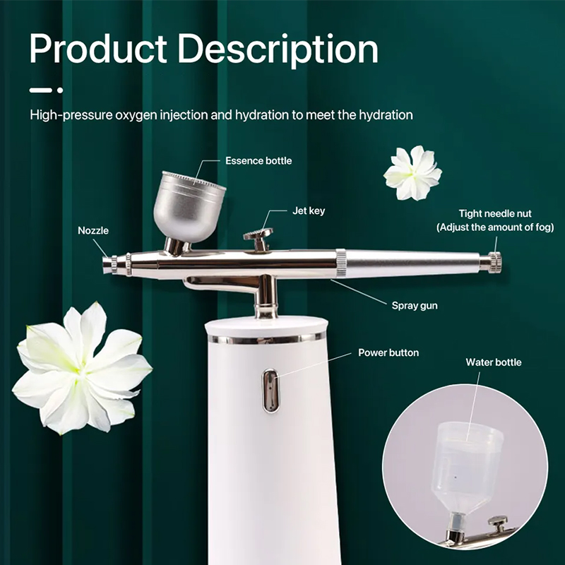 PAKISS Nano Ionic Cold Mist Ai - đánh giá và giá Face Steamer