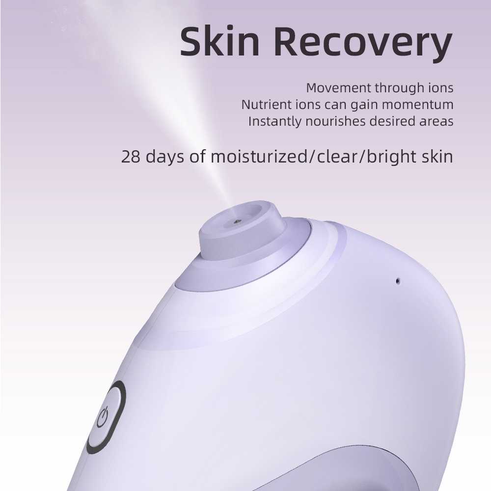 Nano Facial Sprayer Water Stea - đánh giá và giá Face Steamer