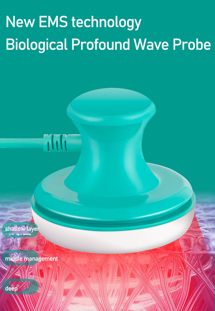 San Tong Master Meridian Instr - đánh giá và giá Body Brush